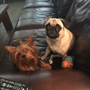 Meet your Posher, Caleb